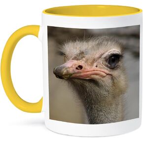 3dRose mug_116211_1 Silly Cute Ostrich Face Nature Animal Photo Ceramic Mug, 11-Ounce
