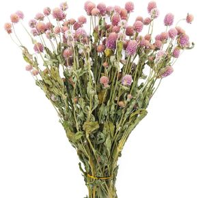 Dried Flower Pink Globe Amaranth Natural Dried Rose Flowers Bundles Flowers Dried Bouquet for Wedding Table Vase Decor Boho DIY Wreath Floral Home Office Party Garden Decoration