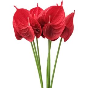 24" Real Touch Latex Artificial Tropical Anthurium Lily Flowers for Home Decor (Pack of 6) (Red)