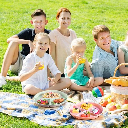 10 Inch Portion Control Divided Plates for Healthy Eating, 4PCS Unbreakable Wheat Straw Dinner Plate BPA Free, Plates for Kids Adults Picnic,Reusable Plates (4 PACK) in Saudi Arabia