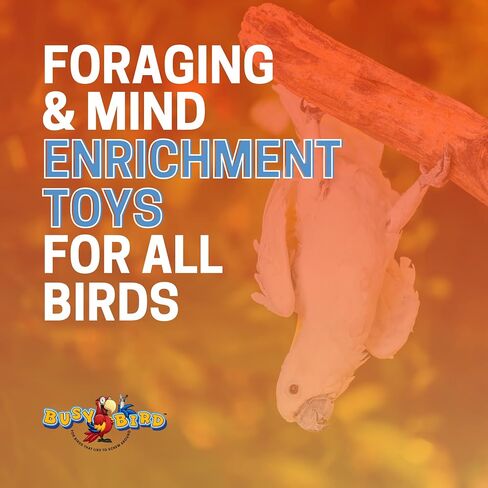 Busy Bird | Spinner Bird Toy with Traveling Spinner - 100% Metal, Ultimate Brain Teaser and Mind Game for Medium to Extra Large Birds (Stainless Steel) in Saudi Arabia