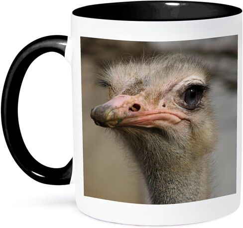 3dRose mug_116211_1 Silly Cute Ostrich Face Nature Animal Photo Ceramic Mug, 11-Ounce in Saudi Arabia