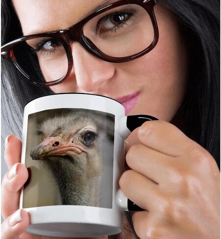 3dRose mug_116211_1 Silly Cute Ostrich Face Nature Animal Photo Ceramic Mug, 11-Ounce in Saudi Arabia