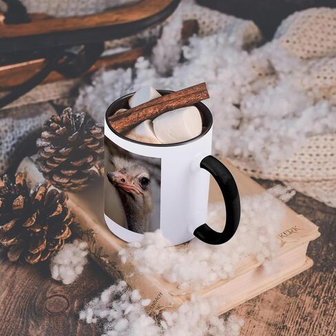 3dRose mug_116211_1 Silly Cute Ostrich Face Nature Animal Photo Ceramic Mug, 11-Ounce in Saudi Arabia