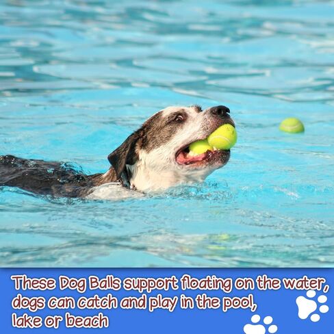 insum Squeaky Tennis Balls for Dogs Colorful Easy Catching Pet Dog Balls 4 Pack (Squeak-2.5inch-Blue) in Kuwait