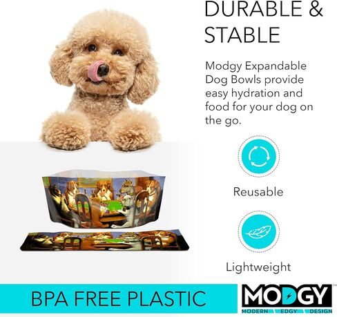 MODGY Dog Bowl 2-Pack Doggy Dog Design, Expandable, Convenient, Great for Traveling, Camping, Hiking, Picnics & More in Saudi Arabia