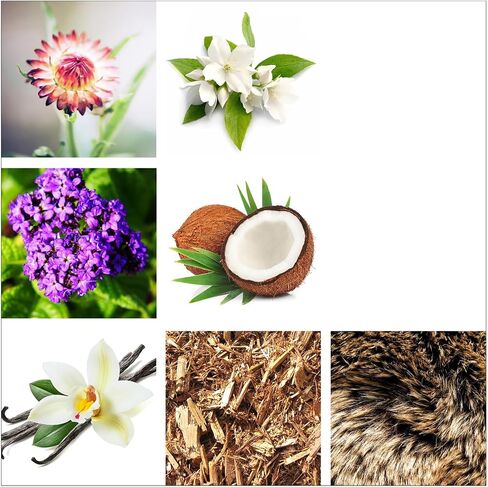 شمعة معطرة راشيل زوي واريور - برائحة زيت عطري فاكهي وزهري - حرق لمدة 45 ساعة - شموع برطمان مع شمع الصويا وفتيل القطن - 6.3 أونصة in Kuwait