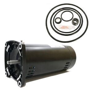 Sta-Rite Dyna-Max 1HP MPEA6E147L Replacement Motor Kit AO Smith USQ1102 w/GO-KIT-47