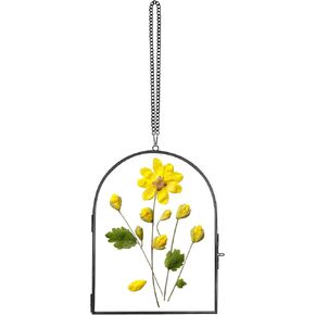 Glass Pressed Flower Frame Handmade, Glass Frame For Pressed Flowers Wall Hanging Floating Frame Unique Double Glass Picture Frame for Dried Flowers Poster Home, ArcShaped, Gold (FRAME ONLY)