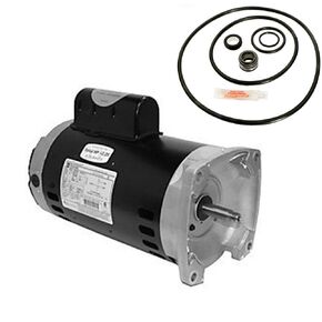 Puri Tech Replacement Motor Kit for Sta-Rite Max-E-Glas II 2HP P4E6G-153L AO Smith SQ1202 with GO-KIT-38