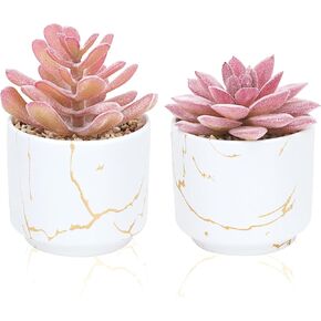 CEWOR 2pcs Succulents Plants Artificial, Fake Succulents in Ceramic Pots, Fake Plants for Office Decor, Desk Decoration for Women, Pink