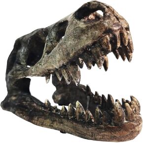 Ptosziav Triceratops Skull, Dinosaur Skull Office Home Bookshelf Decorations, Dinosaur Room Decor for Boys,Resin Skeleton Replica Collectible Figurines for Adults