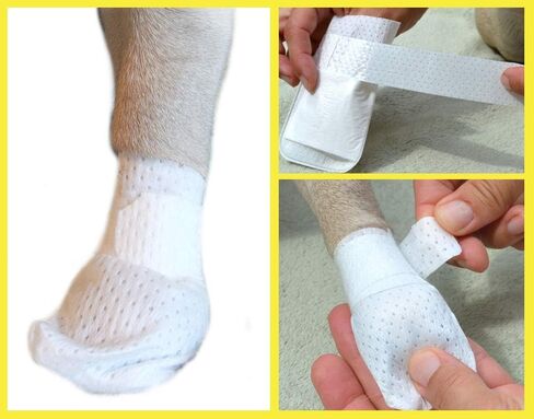PawFlex Medimitt Paw Bandages for Dogs, Cats and Pets Medical Booties, First aid for Paws Non Slip, Non Adhesive, Breathable,Disposable, Washable,12 Pack (Medium) in Saudi Arabia