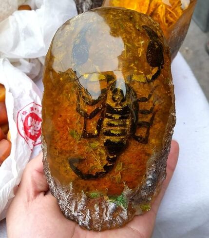 Large Amber Ornaments Resin Amber Protolith Wormhole Ornaments Real Scorpion Specimens for Office and Home Ornaments (Butterflies) in Saudi Arabia
