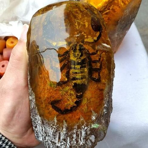 Large Amber Ornaments Resin Amber Protolith Wormhole Ornaments Real Scorpion Specimens for Office and Home Ornaments (Butterflies) in Saudi Arabia