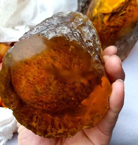 Large Amber Ornaments Resin Amber Protolith Wormhole Ornaments Real Scorpion Specimens for Office and Home Ornaments (Butterflies) in Saudi Arabia