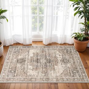 RUUGME Washable 2x3 Area Rugs - Large Boho Rugs for Living Room Stain Resistant Carpet Vintage Tribal Rugs for Bedroom Kitchen Bathroom with Non Slip Backing Home Decor Floor Decoration Mat