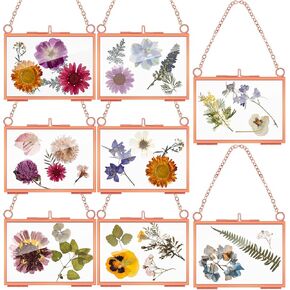 Kenning 8 Pcs Glass Frame for Pressed Flowers 3.5 x 2.5 Inch, Double Floating Picture Frames Brass Hanging Photo Frame with Chain Wall Decor for Dried Flower DIY Art Display (Gold)