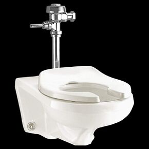 American Standard 2294011EC.020 Afwall ADA Retrofit Universal Bowl with EverClean, White