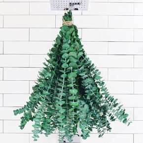 16 Pcs Preserved-Dried-Eucalyptus-Branches,17" 100% Natural Fresh Eucalyptus Plant for Shower, Real Eucalyptus Bunch for Vase Filler, Greenery Stem, Dried Flowers Arrangement, Floral Home Decor