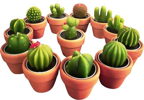 Succulent Candles, Novelty Cactus Tealight Candle Baby Shower Candle Decorations for Party Favors Terrarium Cacti candels Home Decor… in Kuwait