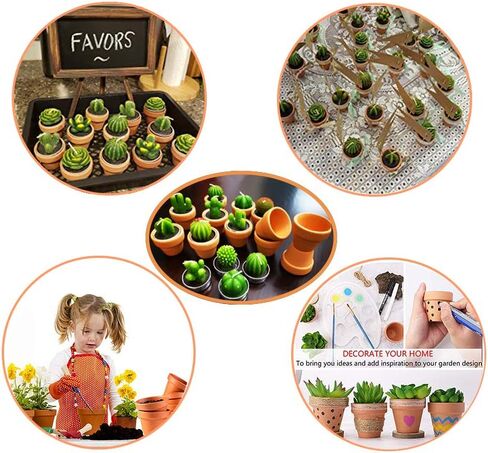 Succulent Candles, Novelty Cactus Tealight Candle Baby Shower Candle Decorations for Party Favors Terrarium Cacti candels Home Decor… in Kuwait