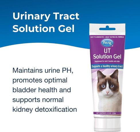 PetAg UT Solution Gel Supplement - Kidney Support for Cats - Contains Cranberry & Vitamin C - 3.5 oz - 2 Pack in Saudi Arabia
