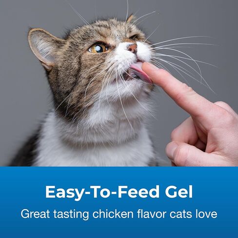 PetAg UT Solution Gel Supplement - Kidney Support for Cats - Contains Cranberry & Vitamin C - 3.5 oz - 2 Pack in Saudi Arabia