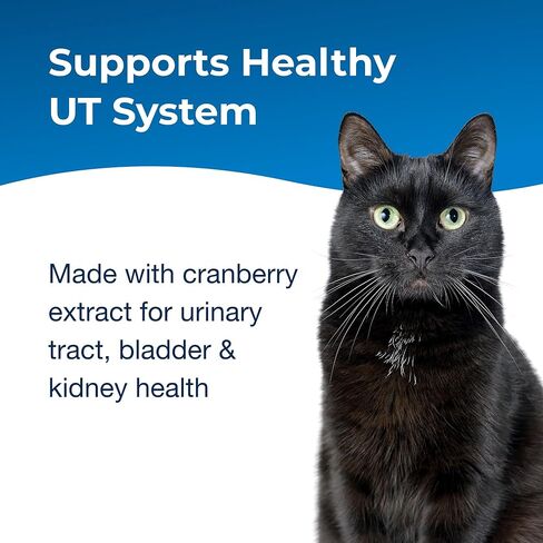 PetAg UT Solution Gel Supplement - Kidney Support for Cats - Contains Cranberry & Vitamin C - 3.5 oz - 2 Pack in Saudi Arabia