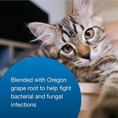 PetAg UT Solution Gel Supplement - Kidney Support for Cats - Contains Cranberry & Vitamin C - 3.5 oz - 2 Pack in Saudi Arabia