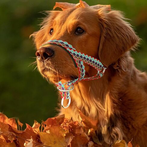 Dog Head Collar with Soft Fabric, Dog Head Harness for Dog to Stop Pulling with Adjustable Loop(M, Black) in Kuwait