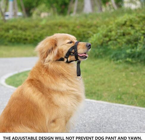 Dog Head Collar with Soft Fabric, Dog Head Harness for Dog to Stop Pulling with Adjustable Loop(M, Black) in Kuwait