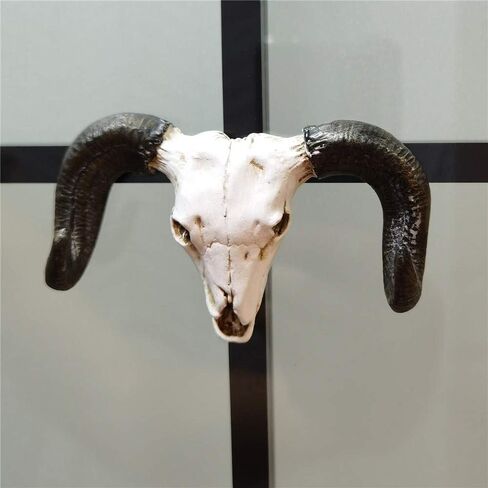 Simulation 3D animal skull,Animal goat skull Head Resin Wall Hanging Skull Steer for Artwork Room Wall Decoration, Wall Hanging Ornament in Saudi Arabia