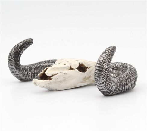 Simulation 3D animal skull,Animal goat skull Head Resin Wall Hanging Skull Steer for Artwork Room Wall Decoration, Wall Hanging Ornament in Saudi Arabia