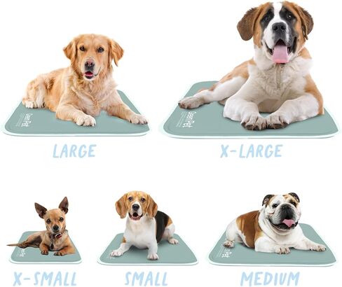 The Green Pet Shop Cool Pet Pad - Extra Small, Disney’s Stitch - Self-Cooling, Pressure Activated Mat for Dogs & Cats from 0-8 lbs - Non-Toxic Gel, No Water Needed in Saudi Arabia