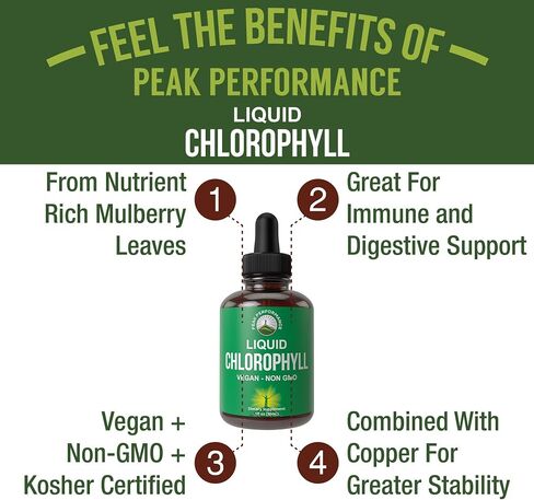 Chlorophyll Liquid Drops - Ultra High Purity, Alcohol Free, Non-GMO, Gluten Free Liquid Chlorophyll Drops Supplement. Take With Water. Internal Deodorant + Skin Care, Immune, and Digestive Support in Kuwait