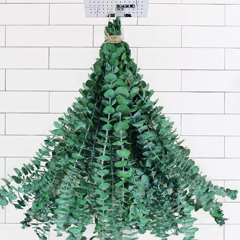 16Pcs-Preserved-Dried-Eucalyptus-Branches,17" 100% Natural Fresh Eucalyptus Plant for Shower, Real Eucalyptus Bunch for Vase Filler, Gift for Mother, Dried Flowers Arrangement, Floral Home Decor in Kuwait
