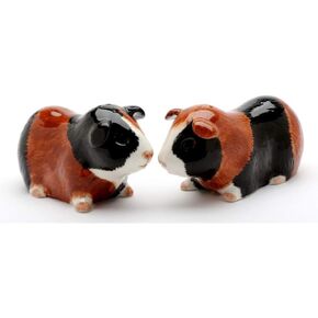 Cosmos Gifts 20745 Guinea Pig Salt and Pepper Shaker, Red