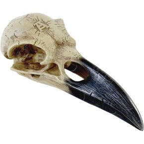 Alchemy Corvus Alchemica Raven Skull