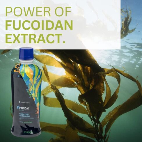 Youngevity ZRadical™ Fucoidan - Pure Organic Maritech Fucoidan Extract & Cofactors (Vitamin C, B12, B6, Dragonfruit, Wolfberry, Milk Thistle +) - Immune Support - Super Antioxidant (32 Fl Oz) in Kuwait