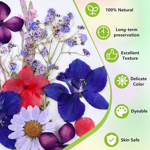 MTLEE 24 Pack Pressed Flower Candles Making Kit 6 White Pillar Candles 10 Tealight Candles 6 Set Pressed Flowers with Tweezer Brush for DIY Candles Crafts Birthday Wedding Centerpieces(4/6/8 Inch) in Saudi Arabia