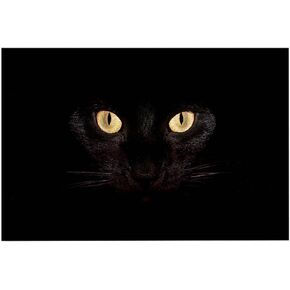 ChezMax Doormat Come Back Funny Door Mat, Non-Slip Welcome Mat Indoor Outdoor Front Door Rugs Waterproof Black Rubber Backed Carpet for Home Floor Entrance Kitchen Entryway, 24x16 Inch