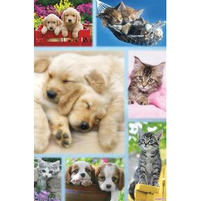 Trends International Keith Kimberlin - Puppies and Kittens Collage Wall Poster, 22.375" x 34", Unframed Version