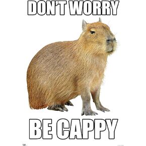 Trends International Capybara - Be Cappy Wall Poster, 22.37" x 34.00", Unframed Version