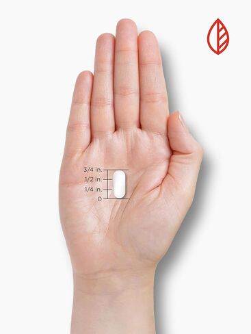 Magnesium Oxide Supplement - 500mg - 180 Count - Vegetarian, Non-GMO & Gluten Free Formula - by Nature's Reward in Kuwait