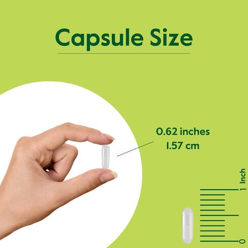 BESTVITE Artemisinin 200mg (60 كبسولة نباتية) - بدون ستيرات - بدون عوامل تدفق - نباتي - غير معدل وراثيًا - خالي من الغلوتين in Kuwait