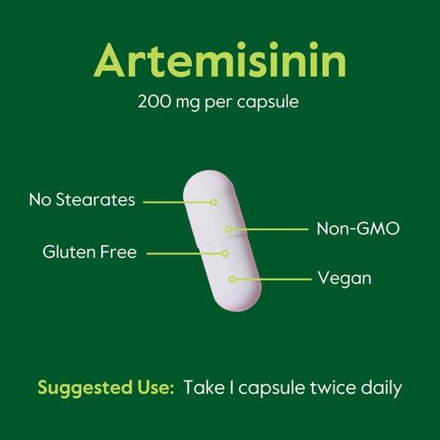 BESTVITE Artemisinin 200mg (60 كبسولة نباتية) - بدون ستيرات - بدون عوامل تدفق - نباتي - غير معدل وراثيًا - خالي من الغلوتين in Kuwait