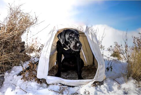 Momarsh Invisi Lab Dog Blind Snow Cover in Kuwait