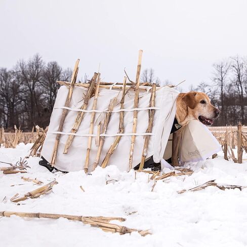 Momarsh Invisi Lab Dog Blind Snow Cover in Kuwait