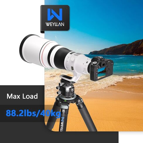 حامل ثلاثي من ألياف الكربون للكاميرا، حامل ثلاثي للكاميرا شديد التحمل من Weyllan LX9G، حامل ثلاثي للوعاء مع غطاء مموه للساق 40 مم، حامل ثلاثي لكاميرا الفيديو من ألياف الكربون مكون من 10 طبقات، حامل ثلاثي القوائم للكاميرا الاحترافية للعدسة المقربة in Kuwait